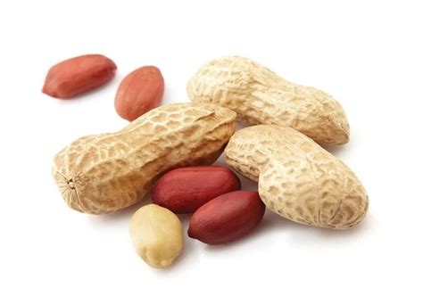 peanut wholesale price mandi rate  groundnut  india