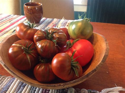 Tomatoes in the High Country - 5280