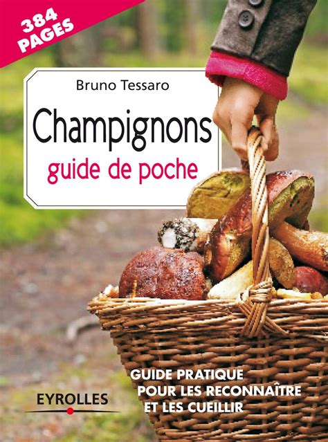 Pra C Cis De Ma C Decine La C Gale Guide De Poche 9