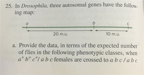 Solved 25. In Drosophila, three autosomal genes have the | Chegg.com 