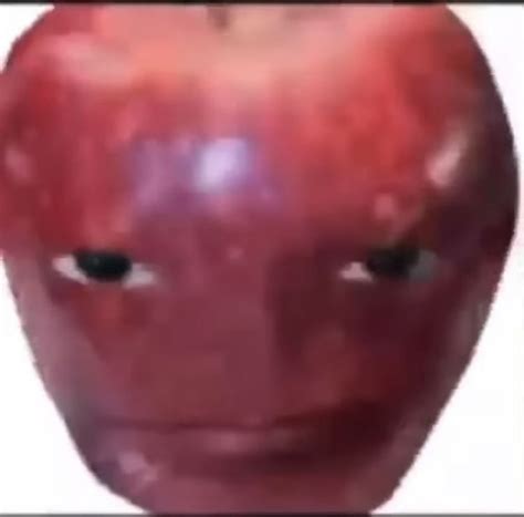 original apple funny gif vines funny  memes