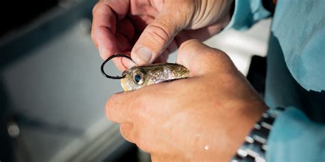 Top Sellers – Eagle Claw