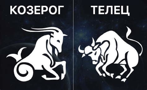 Телец и козерог совместимость знаков для мужчины и женщины в любви и браке