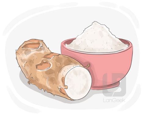 definition meaning  arrowroot langeek