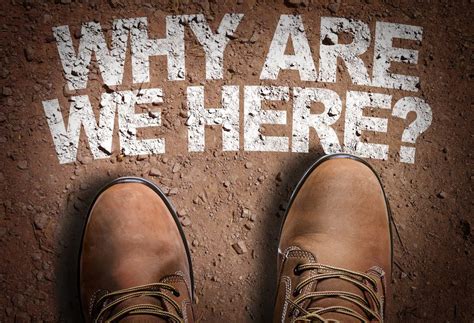 harm safety    australasian  safety journal