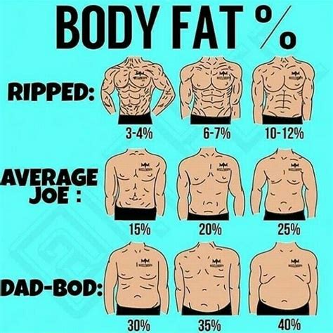 Body fat percentages for athletes - qeryneuro