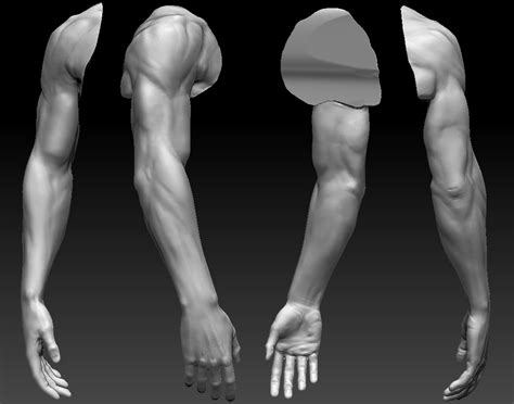 Male Arm Reference Photo Heroic male arm hand by asvtek cgportfolio