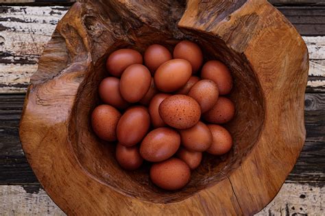 Cuckoo Maran Chicken Eggs