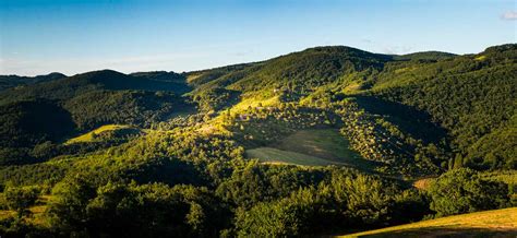 Il Parco Regionale del Monte Subasio - Le Silve di Armenzano - Natural