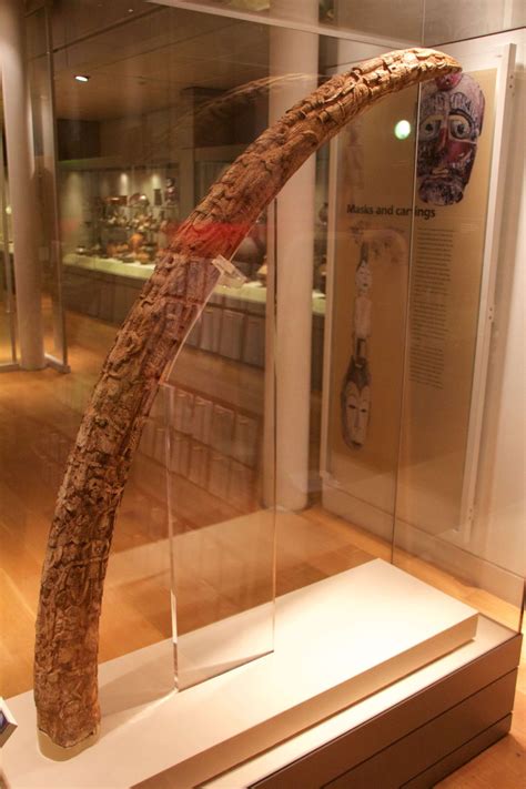 Manchester Museum (Manchester) - Visitor Information & Reviews