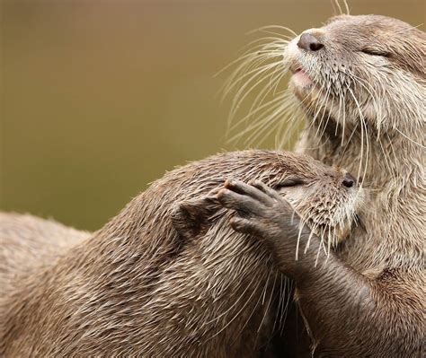 world hug day de bing wallpaper