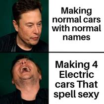 Elon musk - Meme Guy