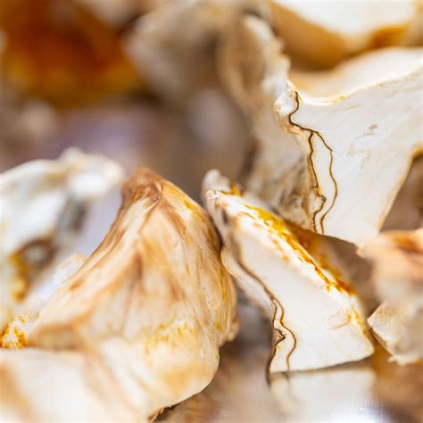 Mushroom Blends in Bulk • Sempera Organics