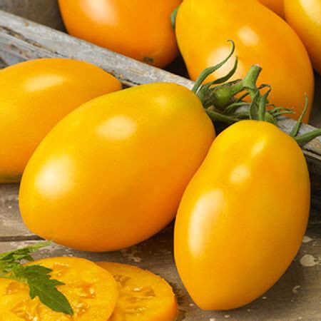 Orange Roma, Tomato Seeds | Urban Farmer