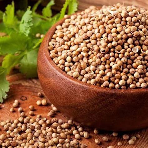 Кориандр молотый, 100 грамм, Coriander powder, Goldiee — Шанти