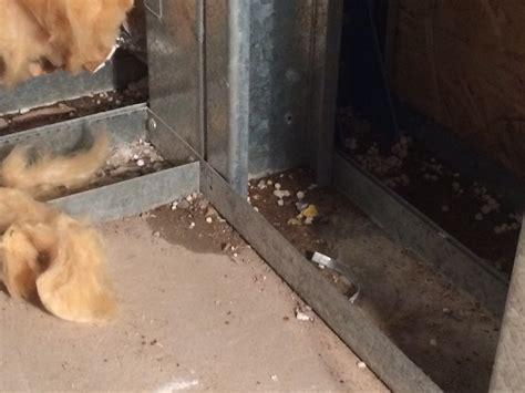 How To Dry Concrete Floor After Water Leak – Clsa Flooring Guide