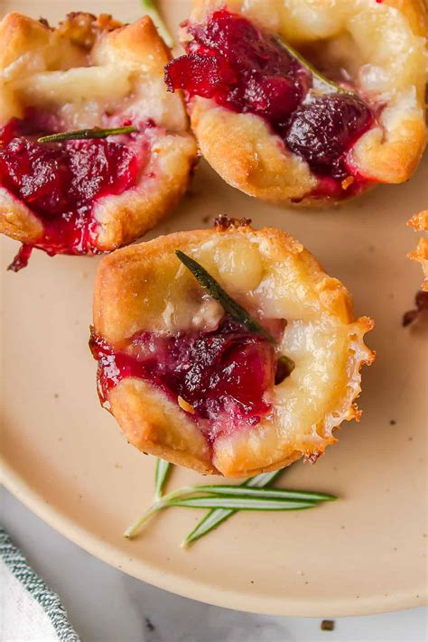 Cranberry Brie Bites (Easy Crescent Roll Recipe!) | All Things Mamma