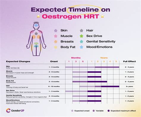 HRT Timeline and Effects: Hormone Replacement Therapy Info