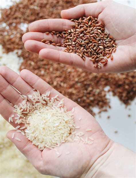 The Nutrients Added To Enriched Grains Typically Include 9