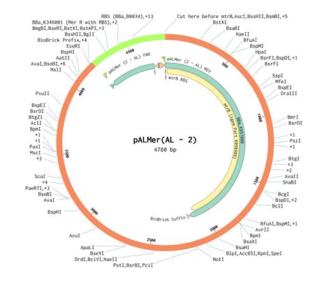Team:Tufts/Design - 2019.igem.org
