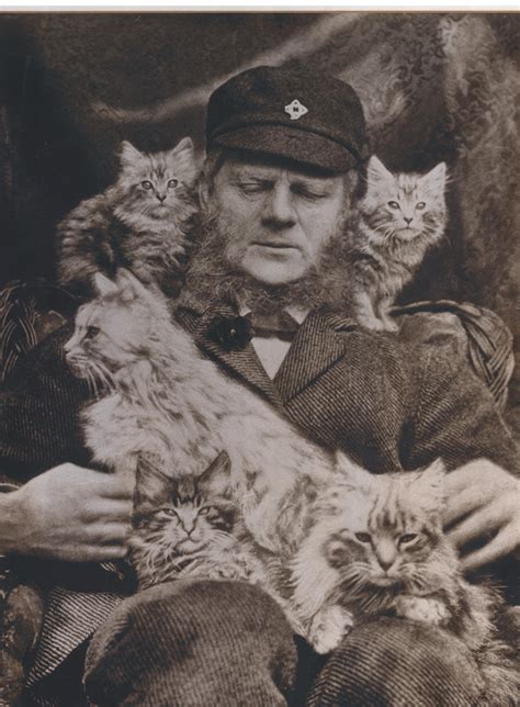 Misty Gates Princess Leia