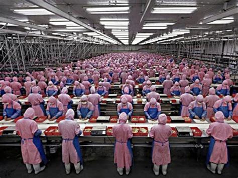 Thoughts into Foxconn suicides | Iris Gu'blog
