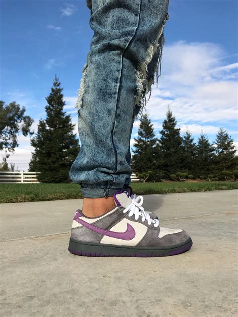 Nike SB Purple Pigeon : Sneakers