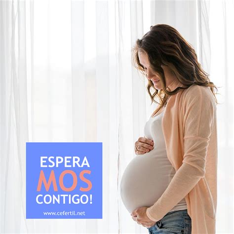 ¿Cómo quedar embarazada estando operada? - CEFERTIL