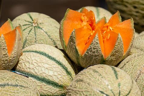 Melon Melody - Massachusetts Farm to School