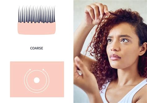 Fine Hair vs. Coarse Hair: How To Tell the Difference – HairstyleCamp