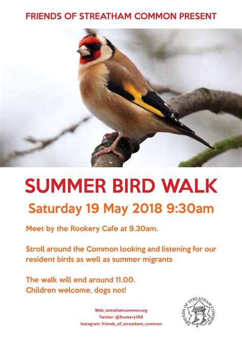 Summer bird walk: 19 May 2018 @ 9:30am - Friends of Streatham Common