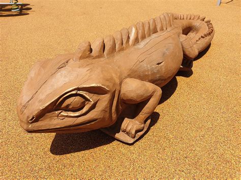 Tuatara | Playground Centre