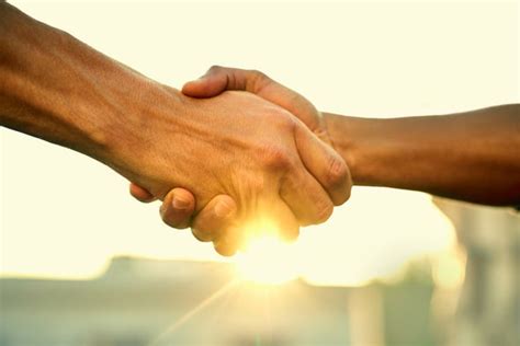 peace    wars absence   research explains
