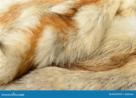 Fox Fur Animal Texture Background Royalty-Free Stock Photography ...