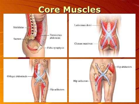 Core Strengthening Exercises for Parkinson’s Disease - Part 3 of 4 - Davis Phinney Foundation