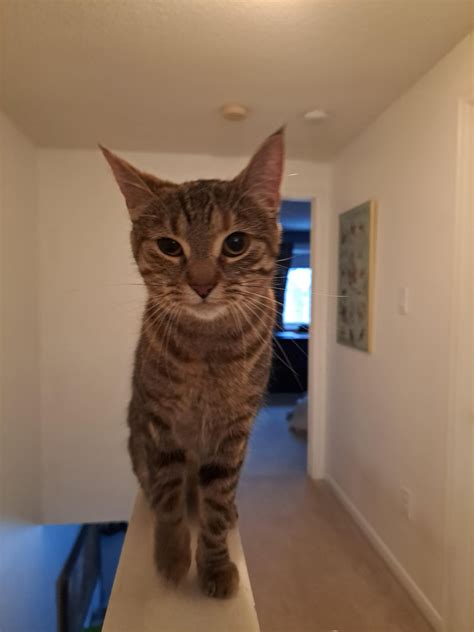 Families turn to obituaries kitchener to honor their lost kin 10