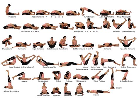 Ashtanga Yoga Sequences