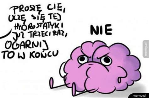 Mózg - Memy.pl
