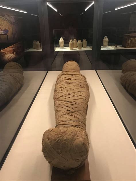 "Egyptian Mummies & Eternal Life" at the Museum of Natural History