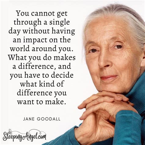 Jane Goodall Quotes Dr. Jane Goodall & The Jane Goodall Institute On