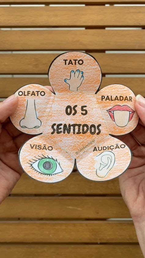 Trabalho Sobre Os 5 Sentidos - Atividade sobre os 5 sentidos com a Educação Infantil | Actividades de ...