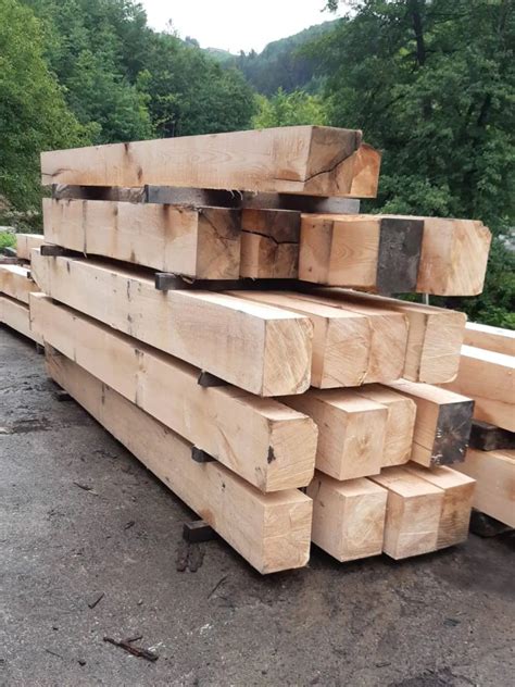 maderas frondosas  vigueria solwood