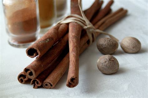CINNAMON TREES CAN SAVE LIVES NOW | BeautifulNow