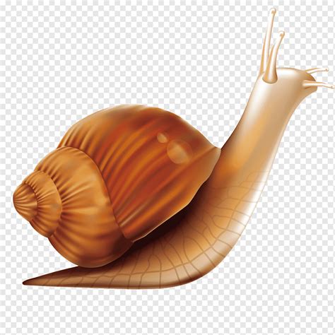 Компьютерная мышь Snail, Snail worm, животные, с днем рождения ...