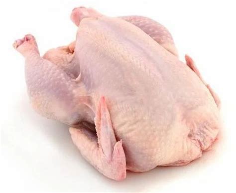 chicken  indore  latest price mandi rates