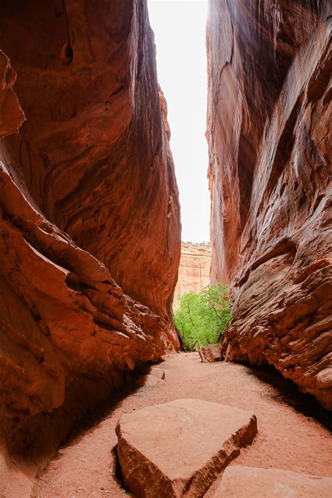 "Singing Canyon" Slot Canyon On The Burr Trail | Visit Utah