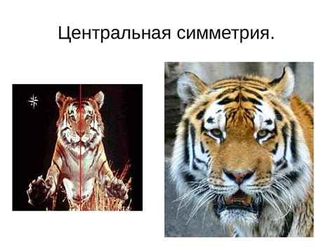 Презентация хромова аня 9 а