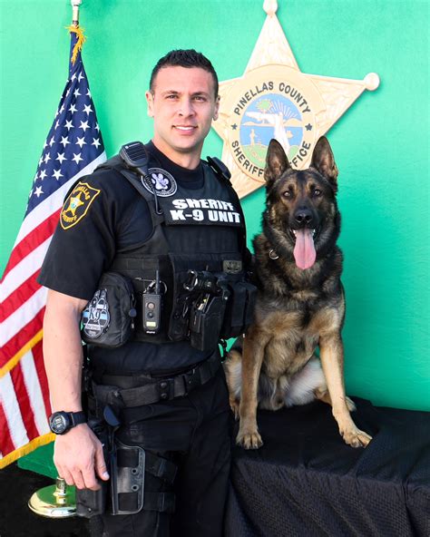 Pinellas County Police Activity: The SHOCKING Truth Revealed Image 12
