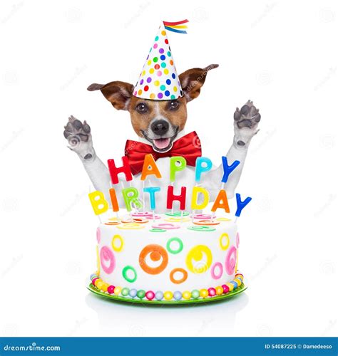 Cane di buon compleanno immagine stock. Immagine di celebri - 54087225