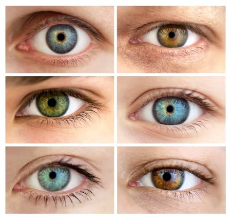 human eye color chart google search tipos de ojos ojos ambar ojos